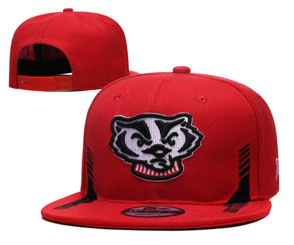 Wisconsin Badgers Stitched Snapback Hats 001